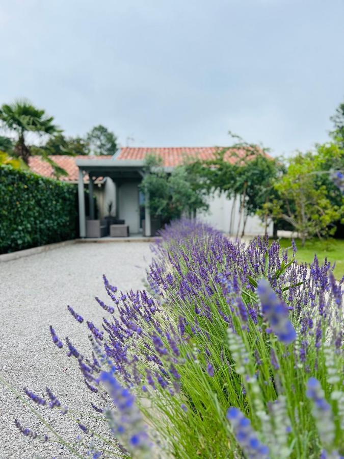 O'Pintxo Bed & Breakfast Onesse-et-Laharie ภายนอก รูปภาพ